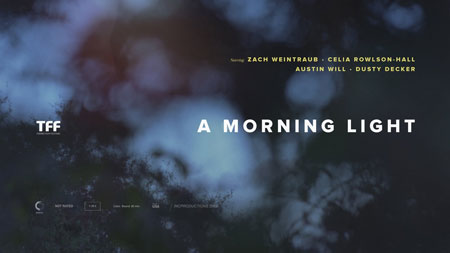 A Morning Light